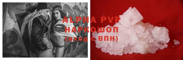 прущие грибы Гусь-Хрустальный