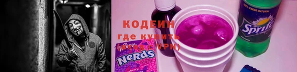 прущие грибы Гусь-Хрустальный
