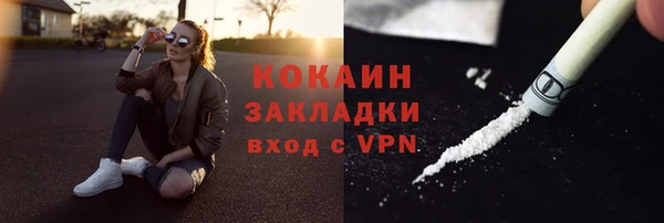 прущие грибы Гусь-Хрустальный