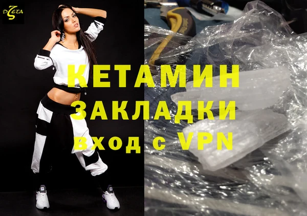 прущие грибы Гусь-Хрустальный