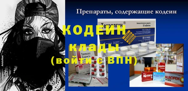 прущие грибы Гусь-Хрустальный