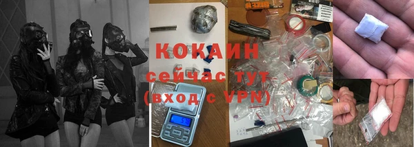 прущие грибы Гусь-Хрустальный